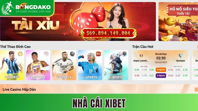 Nhà cái Xibet