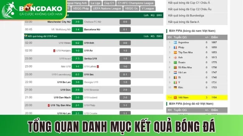 Tổng quan về danh mục kết quả bóng đá