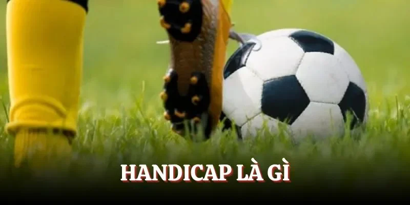 Handicap là gì