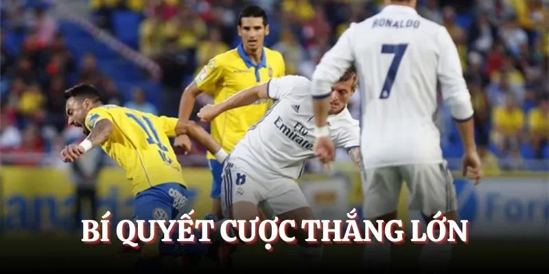 Bí đầu tư và thu lời hiệu quả khi bắt kèo Running Ball