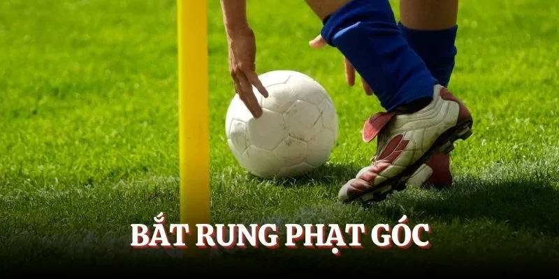 Bắt rung phạt góc thắng lớn