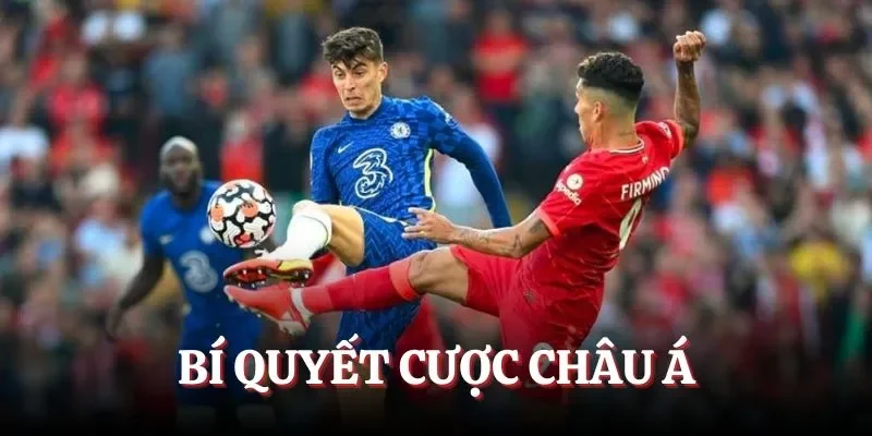 Bí quyết cược châu Á