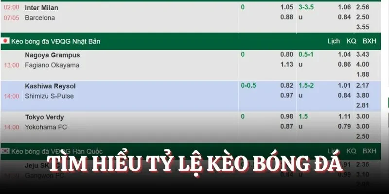 Tìm hiểu về tỷ lệ kèo bóng đá